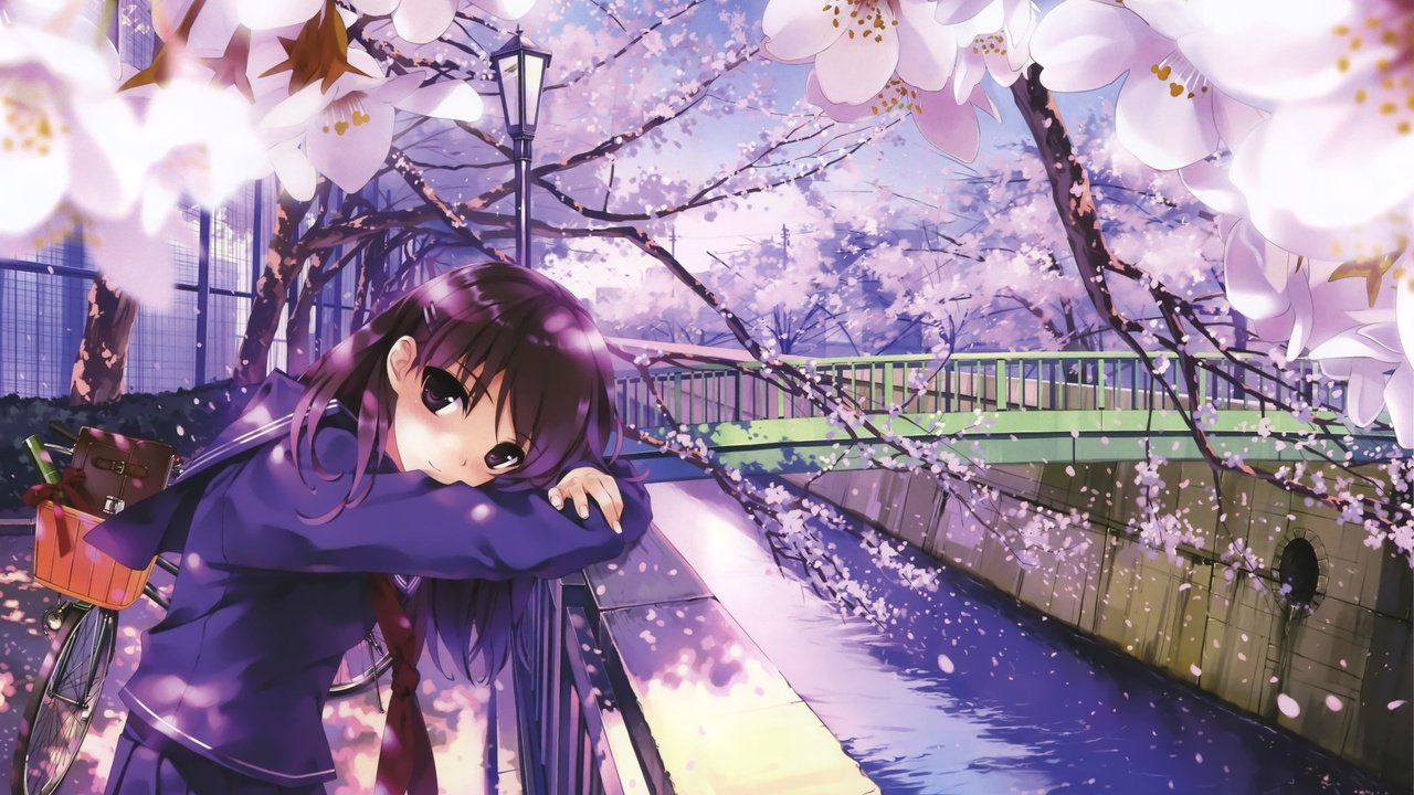 Обои девушка, мост, взгляд, аниме, сакура, misaki kurehito, грустная девочка, girl, bridge, look, anime, sakura, sad girl разрешение 1920x1144 Загрузить
