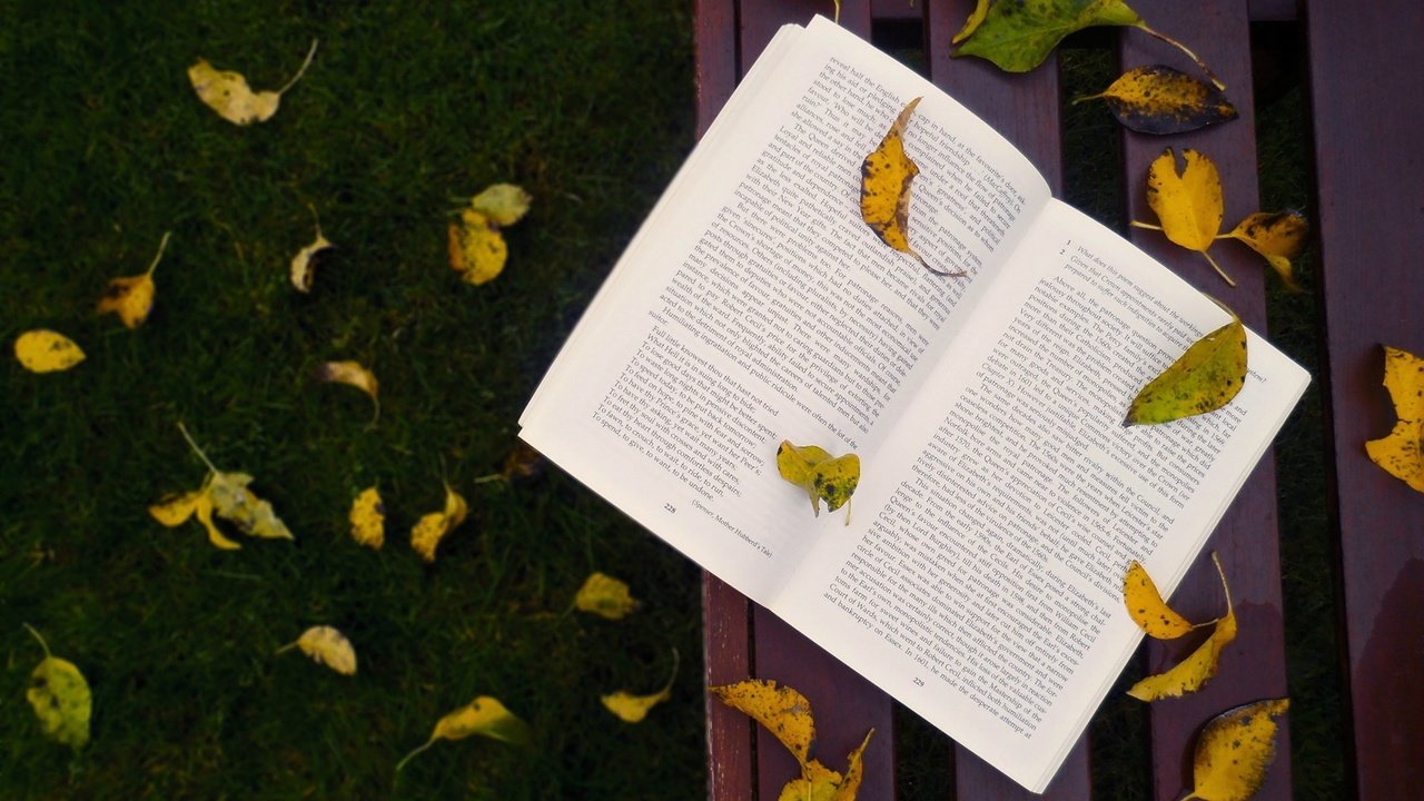 Обои трава, листья, осень, скамейка, листопад, книга, grass, leaves, autumn, bench, falling leaves, book разрешение 1920x1200 Загрузить