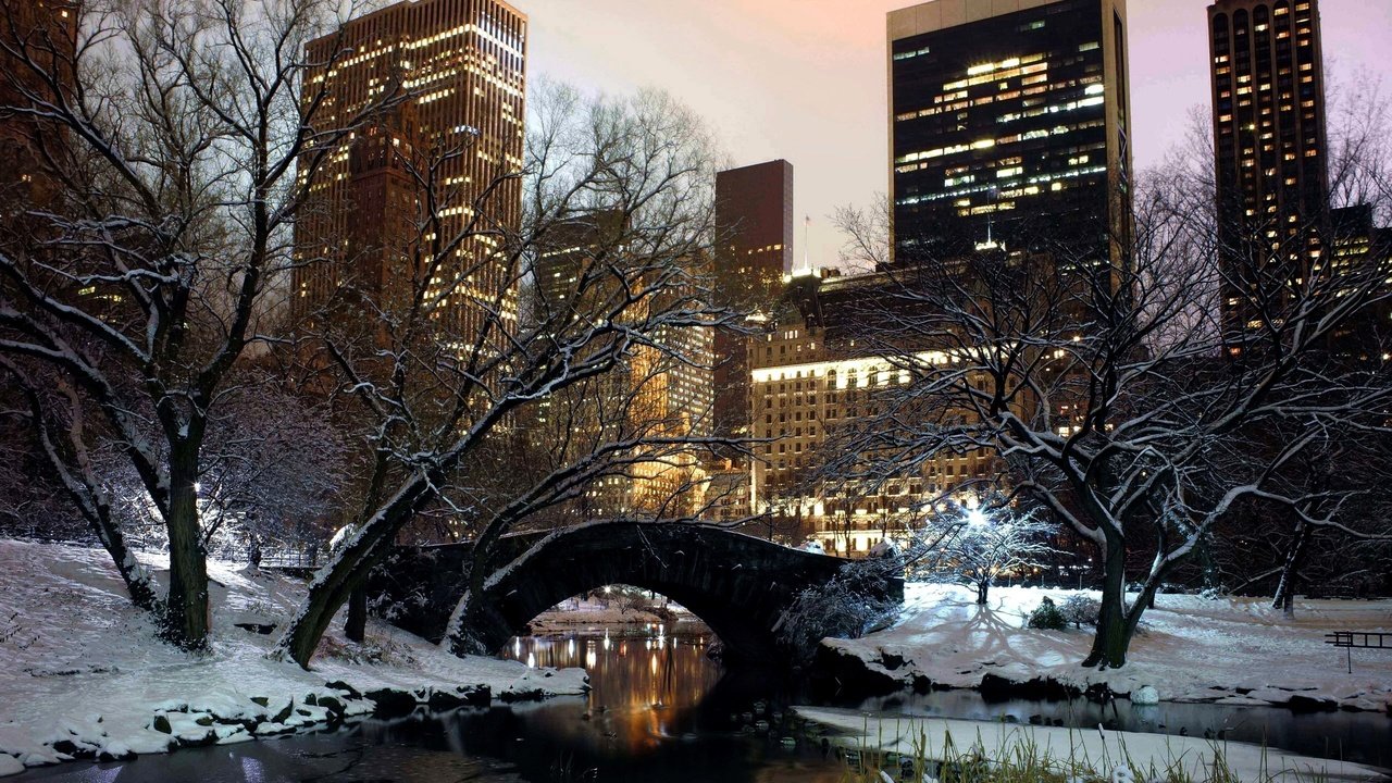 Обои вечер, зима, парк, мост, дома, сша, the evening, winter, park, bridge, home, usa разрешение 2560x1600 Загрузить