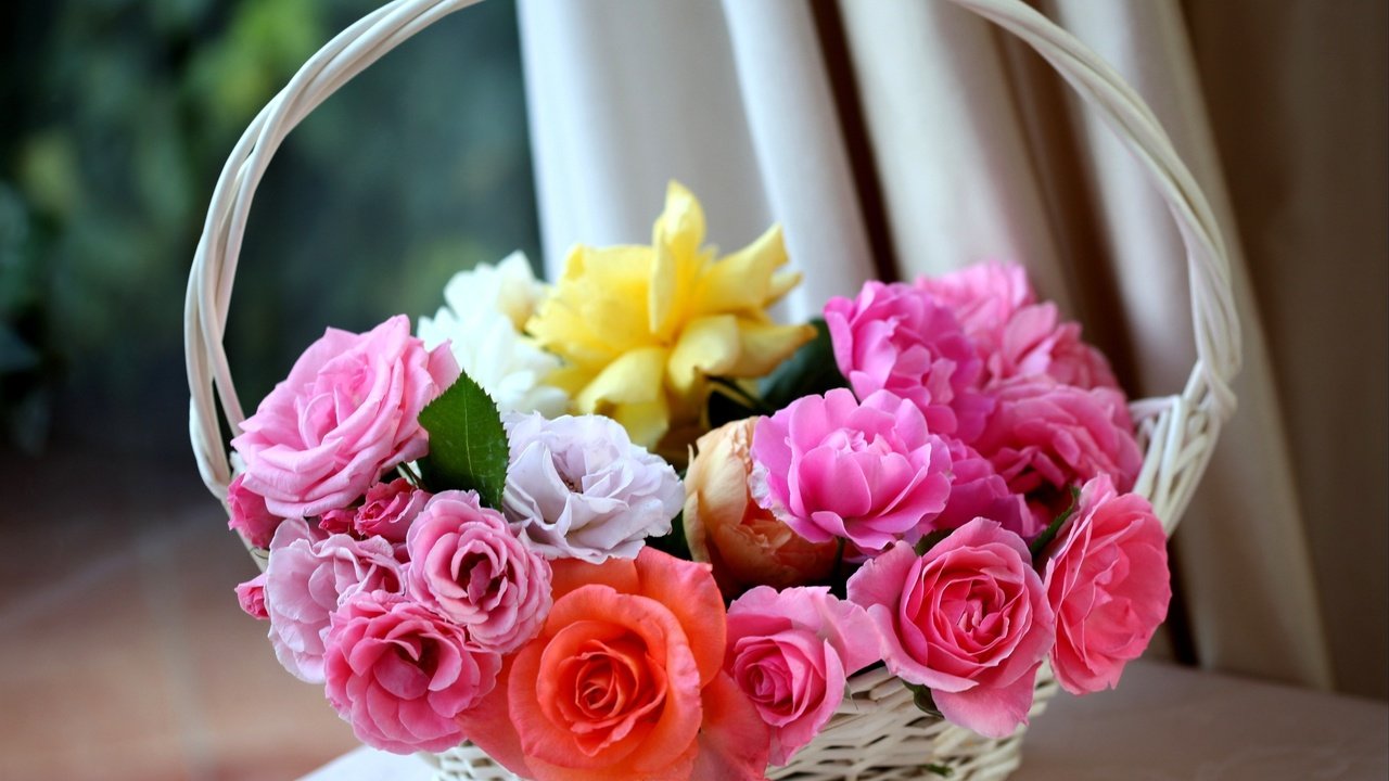 Обои cvety, rozovyj, oranzhevyj, korzinka, rozy, belyj разрешение 3600x2510 Загрузить