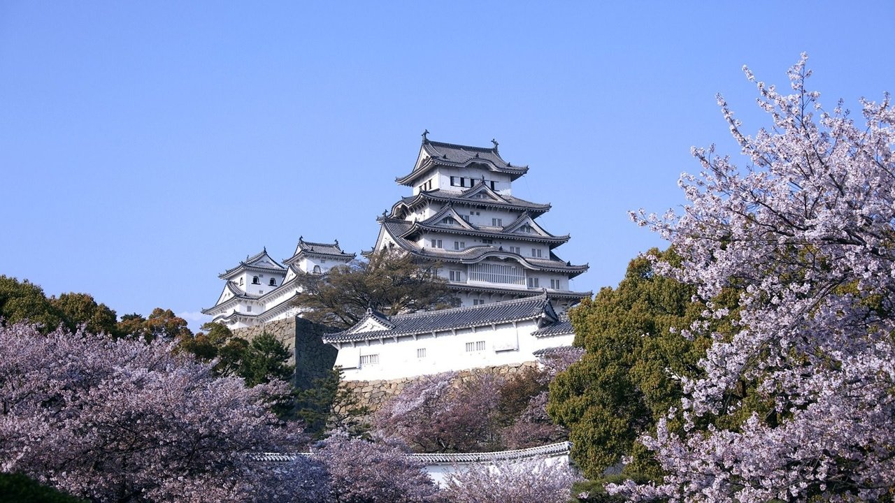Обои замок, япония, сакура, castle, japan, sakura разрешение 1920x1200 Загрузить