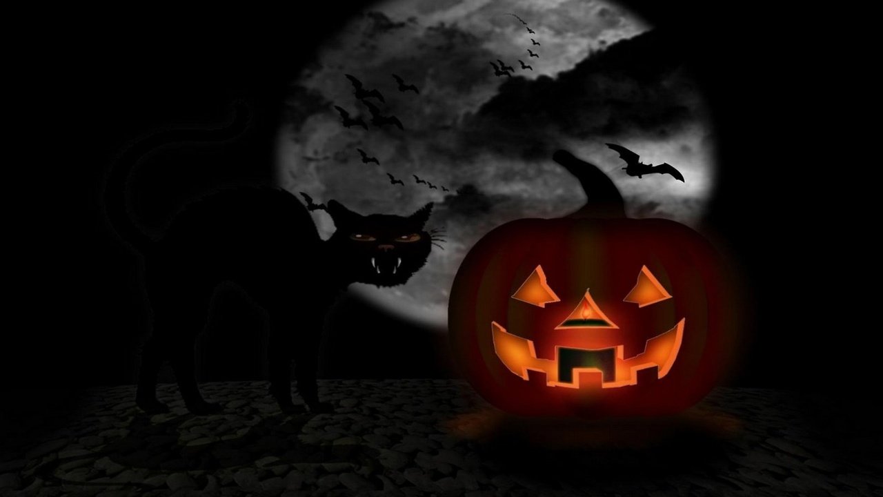 Обои тыквы и кот на фоне луны, pumpkin and cat on moon background разрешение 2560x1440 Загрузить