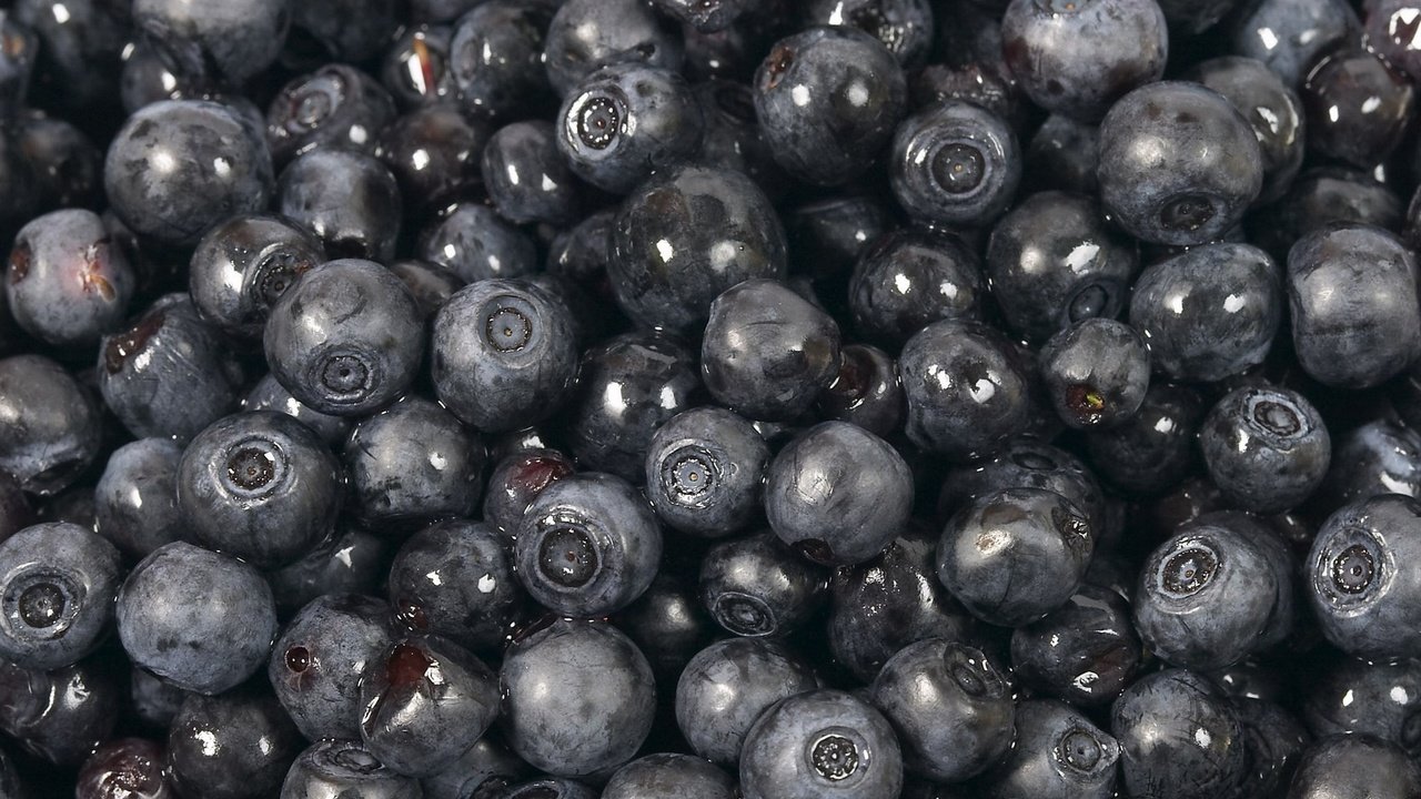 Обои макро, ягода, черника, macro, berry, blueberries разрешение 1920x1080 Загрузить