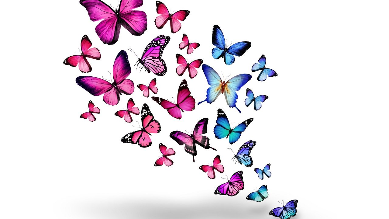 Обои насекомые, розовые, бабочки, синие, 3д, insects, pink, butterfly, blue, 3d разрешение 5500x4026 Загрузить