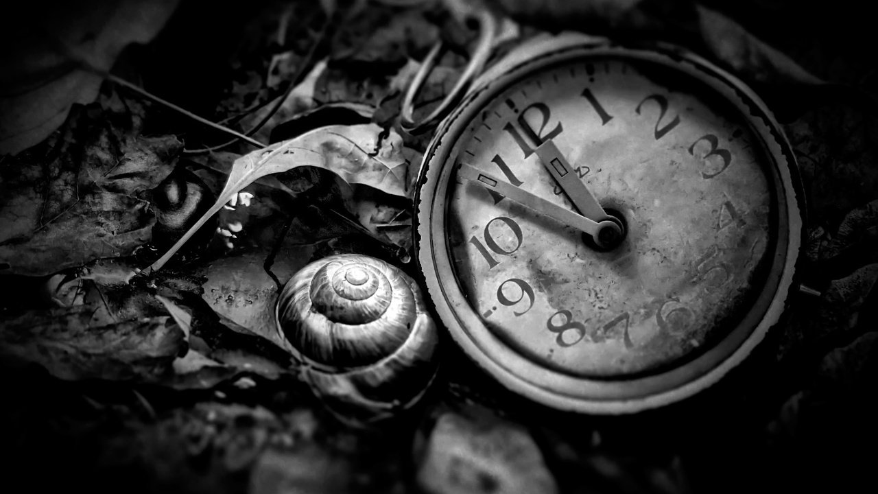 Обои чёрно-белое, часы, время, циферблат, black and white, watch, time, dial разрешение 2048x1366 Загрузить