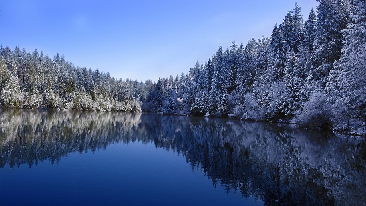 Обои небо, деревья, озеро, лес, зима, отражение, the sky, trees, lake, forest, winter, reflection разрешение 1920x1200 Загрузить