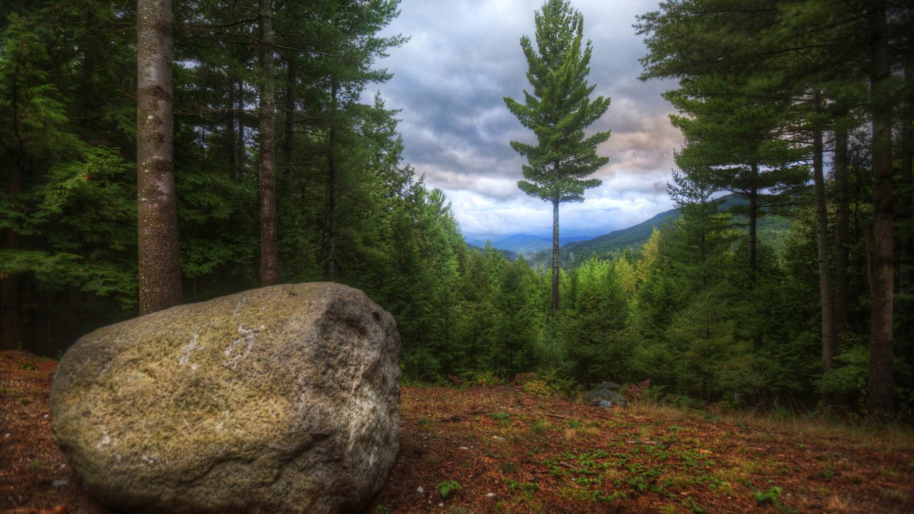 Обои камни, лес, сша, stones, forest, usa разрешение 2560x1600 Загрузить