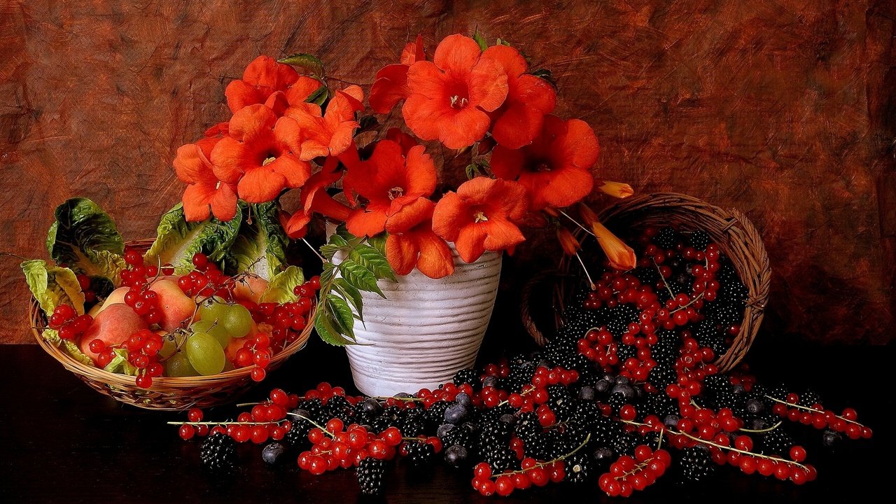 Обои цветы, виноград, ягоды, красная смородина, натюрморт, ежевика, flowers, grapes, berries, red currant, still life, blackberry разрешение 1920x1201 Загрузить
