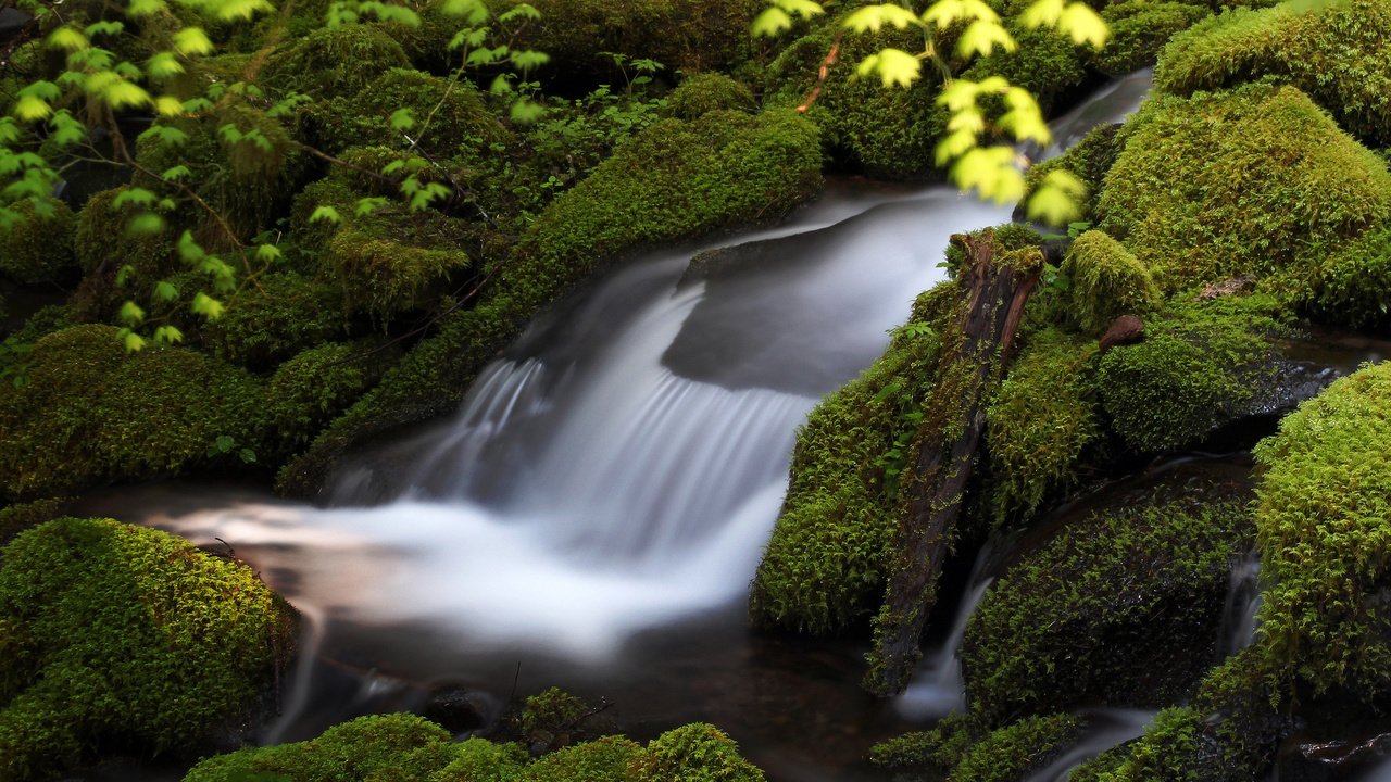 Обои вода, камни, зелень, поток, мох, water, stones, greens, stream, moss разрешение 2048x1464 Загрузить