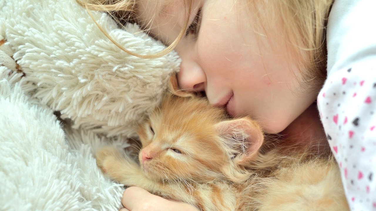 Обои котенок, девочка, любовь, забота, дружба, kitty, girl, love, care, friendship разрешение 2400x1590 Загрузить