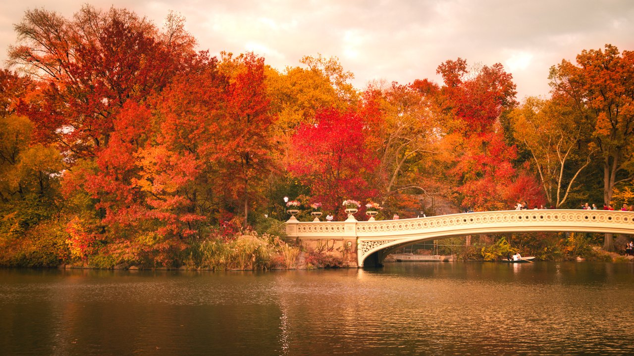 Обои деревья, центральный парк, листья, bow bridge, люди, осень, лодка, зеркало, нью-йорк, соединённые штаты, trees, central park, leaves, people, autumn, boat, mirror, new york, united states разрешение 2248x1499 Загрузить