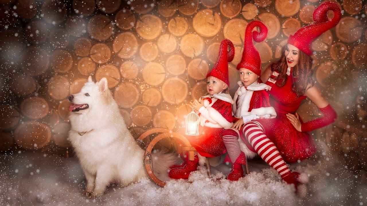 Обои снег, девушка, собака, дети, сани, самоед, колпаки, snow, girl, dog, children, sleigh, samoyed, caps разрешение 1920x1224 Загрузить