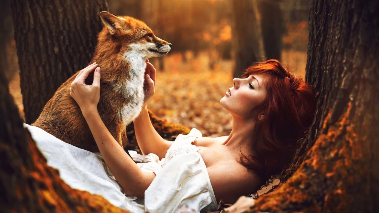 Обои лес, животные, осень, девушки, лиса, рыжеволосая, forest, animals, autumn, girls, fox, redhead разрешение 1920x1200 Загрузить