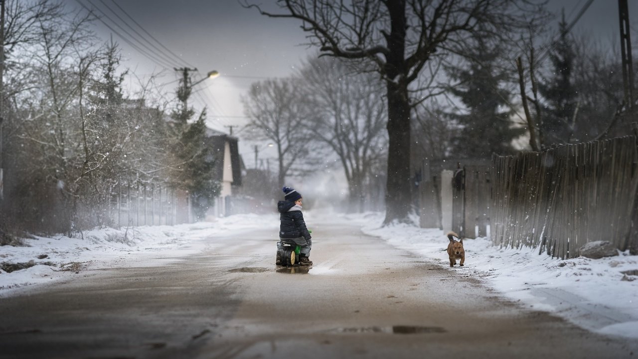 Обои дорога, снег, зима, собака, дети, мальчик, road, snow, winter, dog, children, boy разрешение 2048x1365 Загрузить