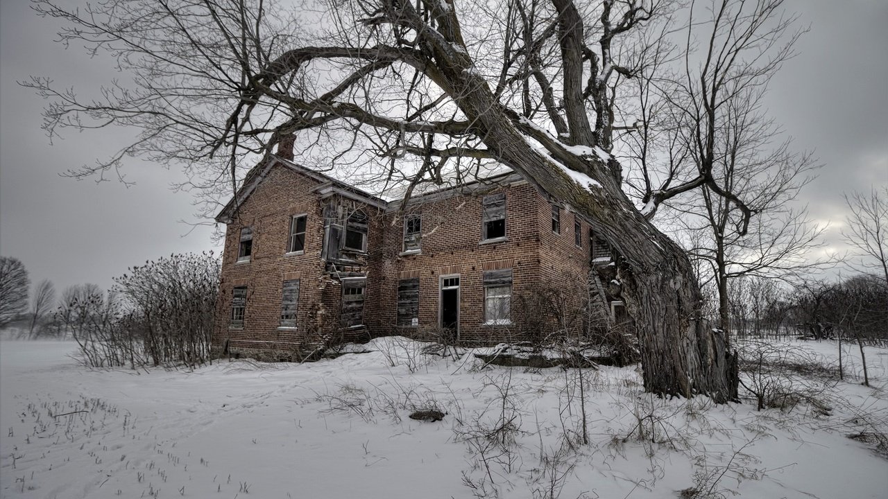 Обои снег, дерево, зима, поле, дом, snow, tree, winter, field, house разрешение 1920x1213 Загрузить