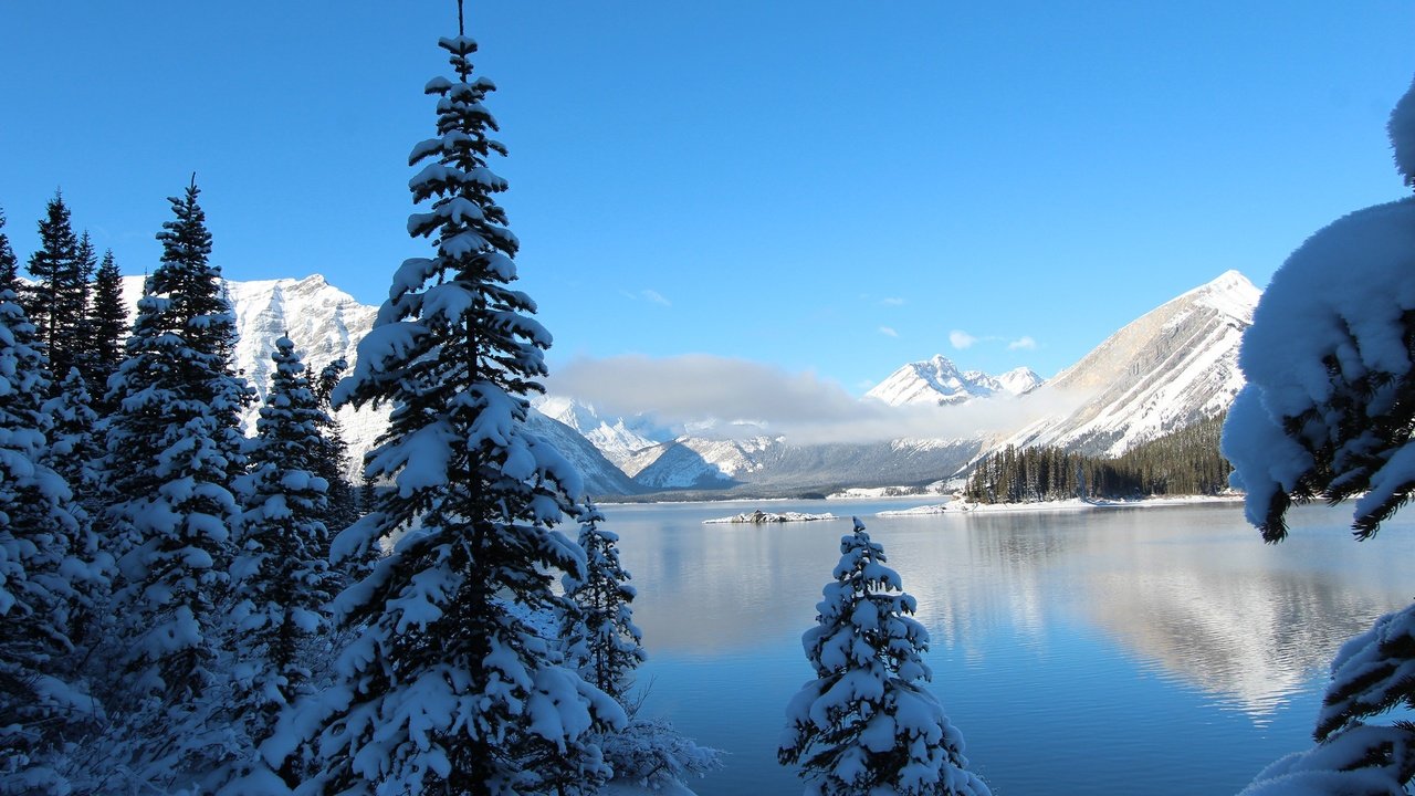 Обои небо, деревья, озеро, горы, снег, зима, ели, the sky, trees, lake, mountains, snow, winter, ate разрешение 2560x1600 Загрузить