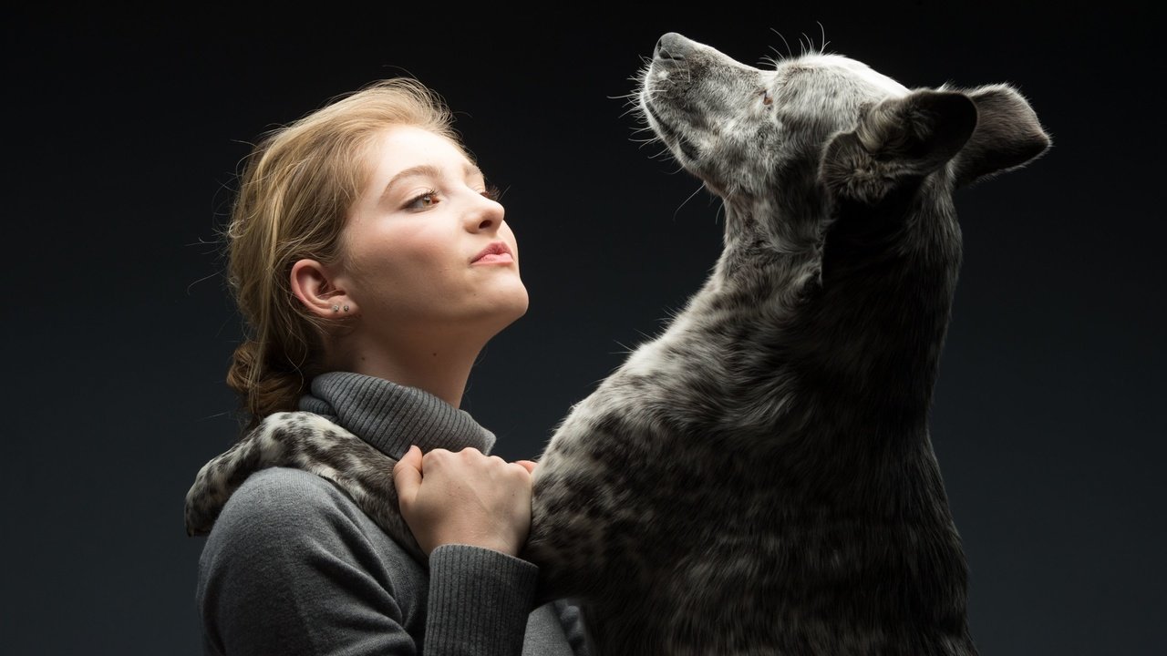 Обои девушка, собака, актриса, друзья, уиллоу шилдс, girl, dog, actress, friends, willow shields разрешение 3840x2400 Загрузить