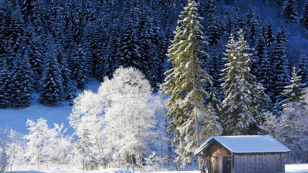 Обои деревья, снег, природа, лес, зима, домик, германия, бавария, trees, snow, nature, forest, winter, house, germany, bayern разрешение 2048x1369 Загрузить