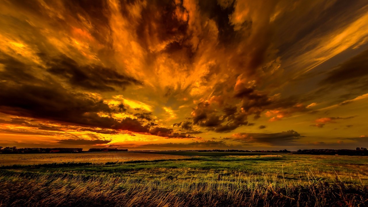 Обои небо, облака, природа, закат, поле, горизонт, the sky, clouds, nature, sunset, field, horizon разрешение 2651x1440 Загрузить