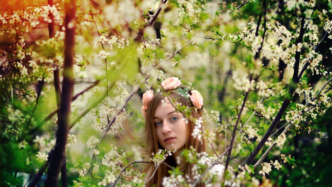 Обои цветы, деревья, природа, девушка, весна, веснушками, flowers, trees, nature, girl, spring, freckles разрешение 4608x3072 Загрузить