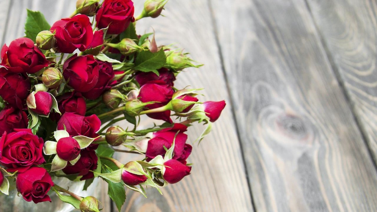 Обои цветы, розы, букет, flowers, roses, bouquet разрешение 1920x1200 Загрузить