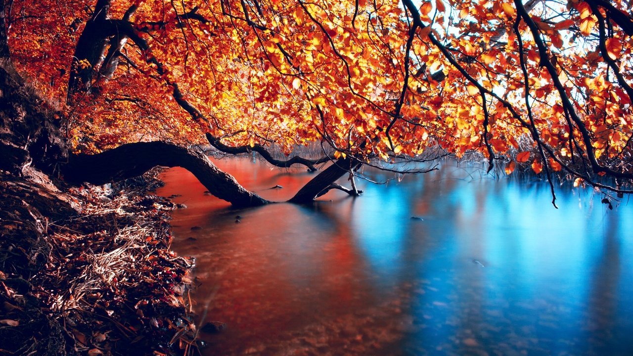 Обои деревья, вода, река, природа, отражение, ветки, осень, trees, water, river, nature, reflection, branches, autumn разрешение 1920x1280 Загрузить