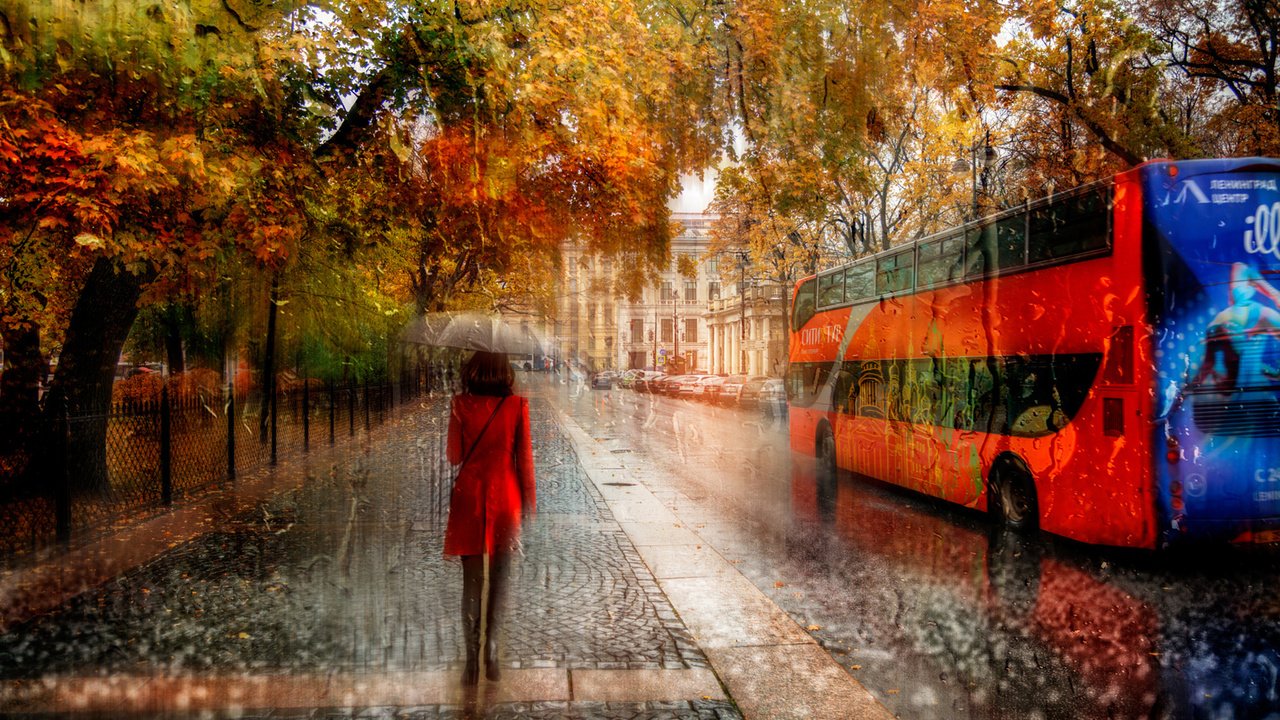 Обои деревья, девушка, город, осень, улица, дождь, зонт, автобус, trees, girl, the city, autumn, street, rain, umbrella, bus разрешение 1920x1200 Загрузить