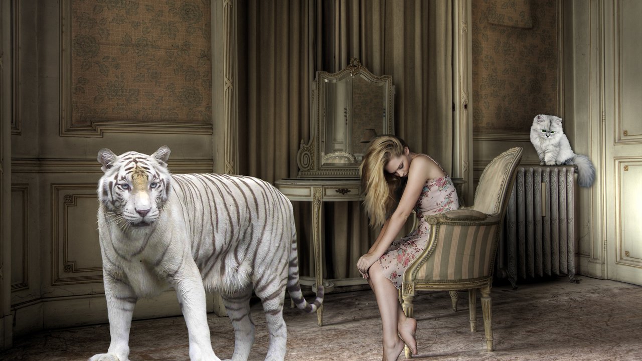 Обои тигр, босиком, девушка, большой кот, кошка, батарея, комната, креатив, волосы, кресло, белый тигр, tiger, barefoot, girl, big cat, battery, cat, room, creative, hair, chair, white tiger разрешение 2880x1800 Загрузить