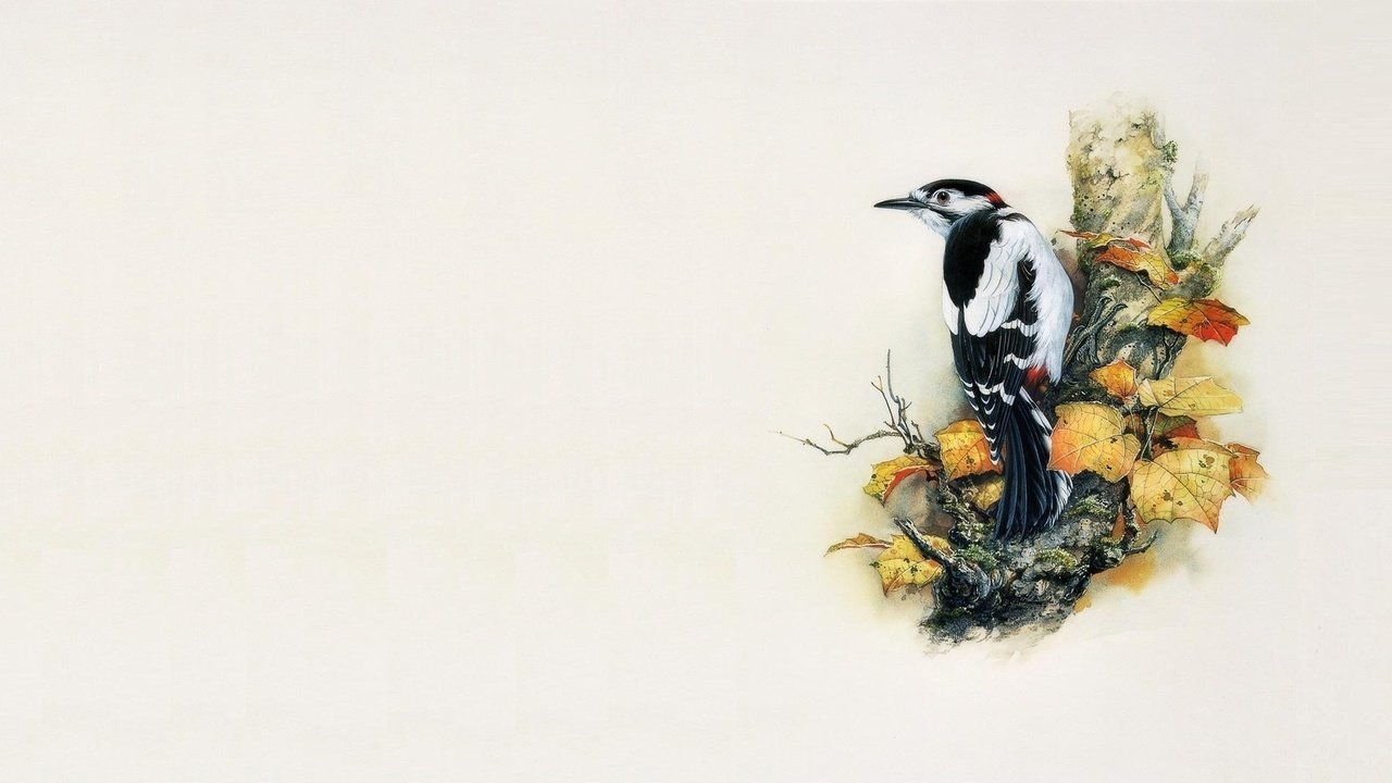 Обои арт, дерево, минимализм, птица, живопись, дятел, zeng xiao lian, art, tree, minimalism, bird, painting, woodpecker разрешение 1920x1080 Загрузить