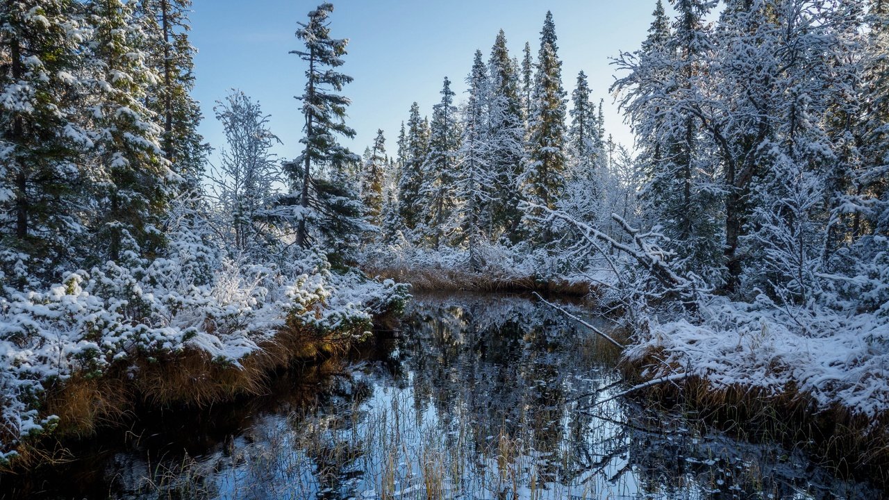 Обои река, снег, лес, осень, river, snow, forest, autumn разрешение 3840x2160 Загрузить