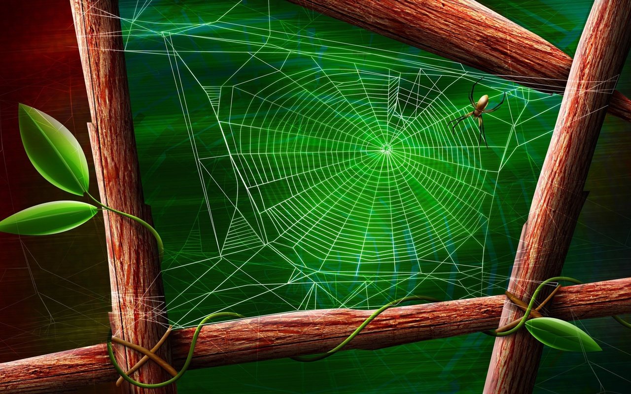 Обои зелёный, лист, паук, паутина, green, sheet, spider, web разрешение 1920x1200 Загрузить