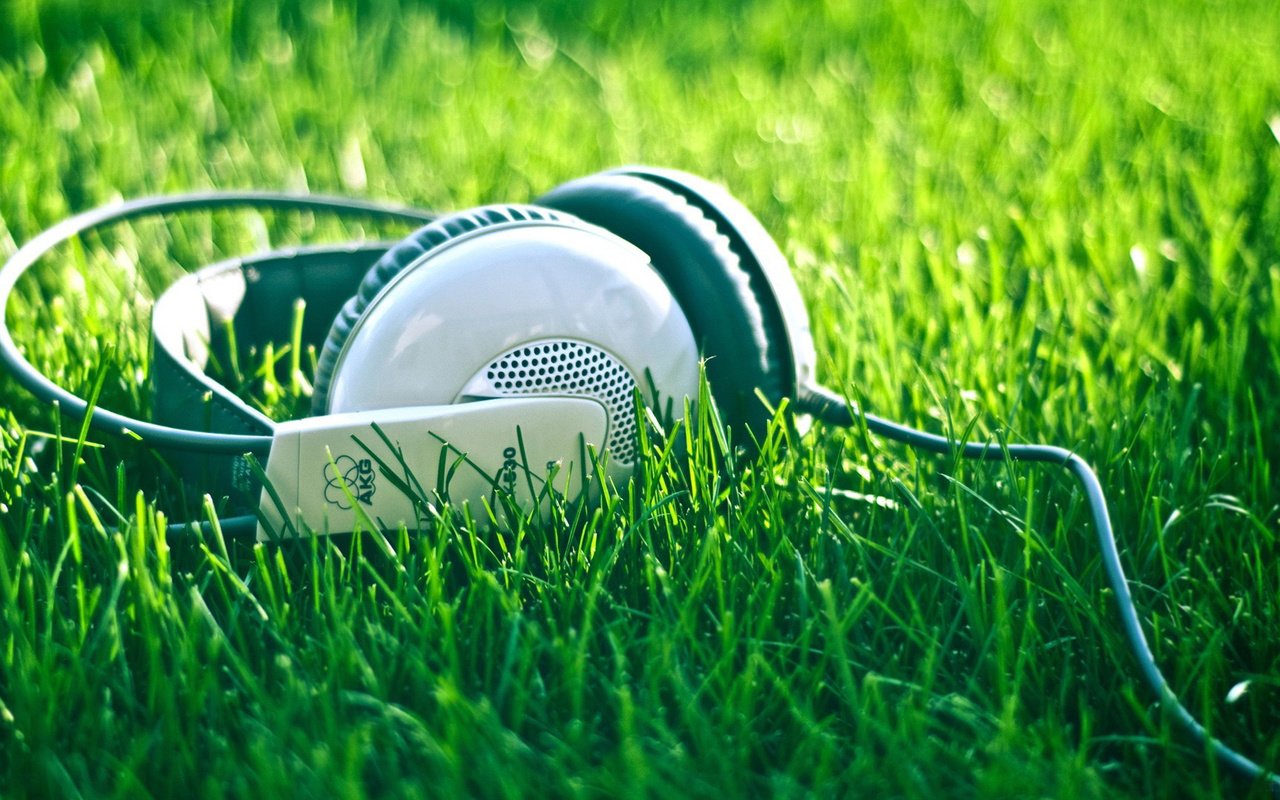 Обои природа, лето, музыка, наушники, травка, шнур, nature, summer, music, headphones, weed, cord разрешение 1920x1080 Загрузить