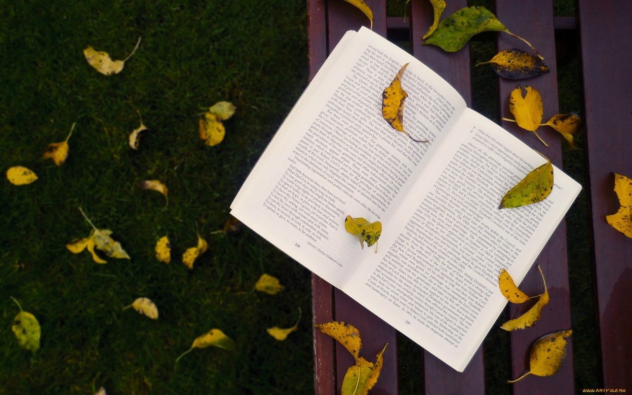 Обои трава, листья, осень, скамейка, листопад, книга, grass, leaves, autumn, bench, falling leaves, book разрешение 1920x1200 Загрузить