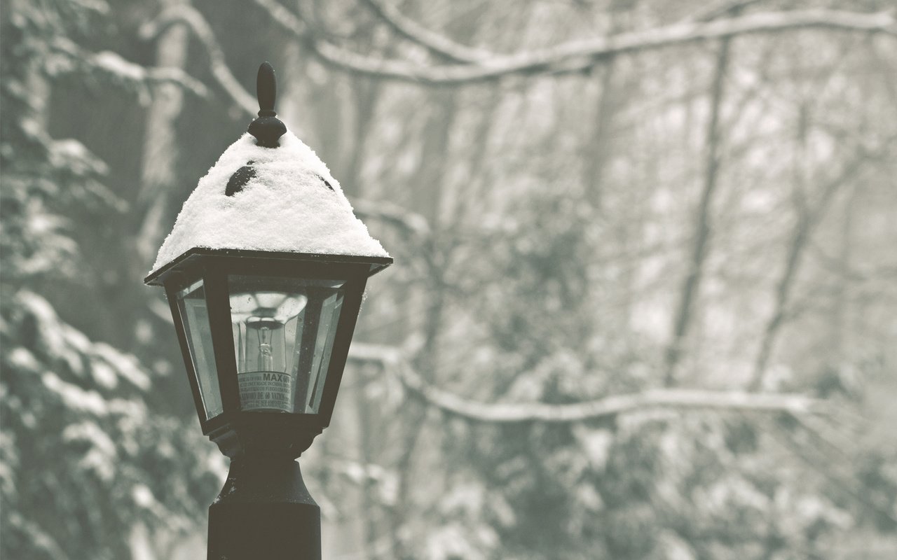 Обои снег, лес, зима, парк, фонарь, snow, forest, winter, park, lantern разрешение 1920x1200 Загрузить