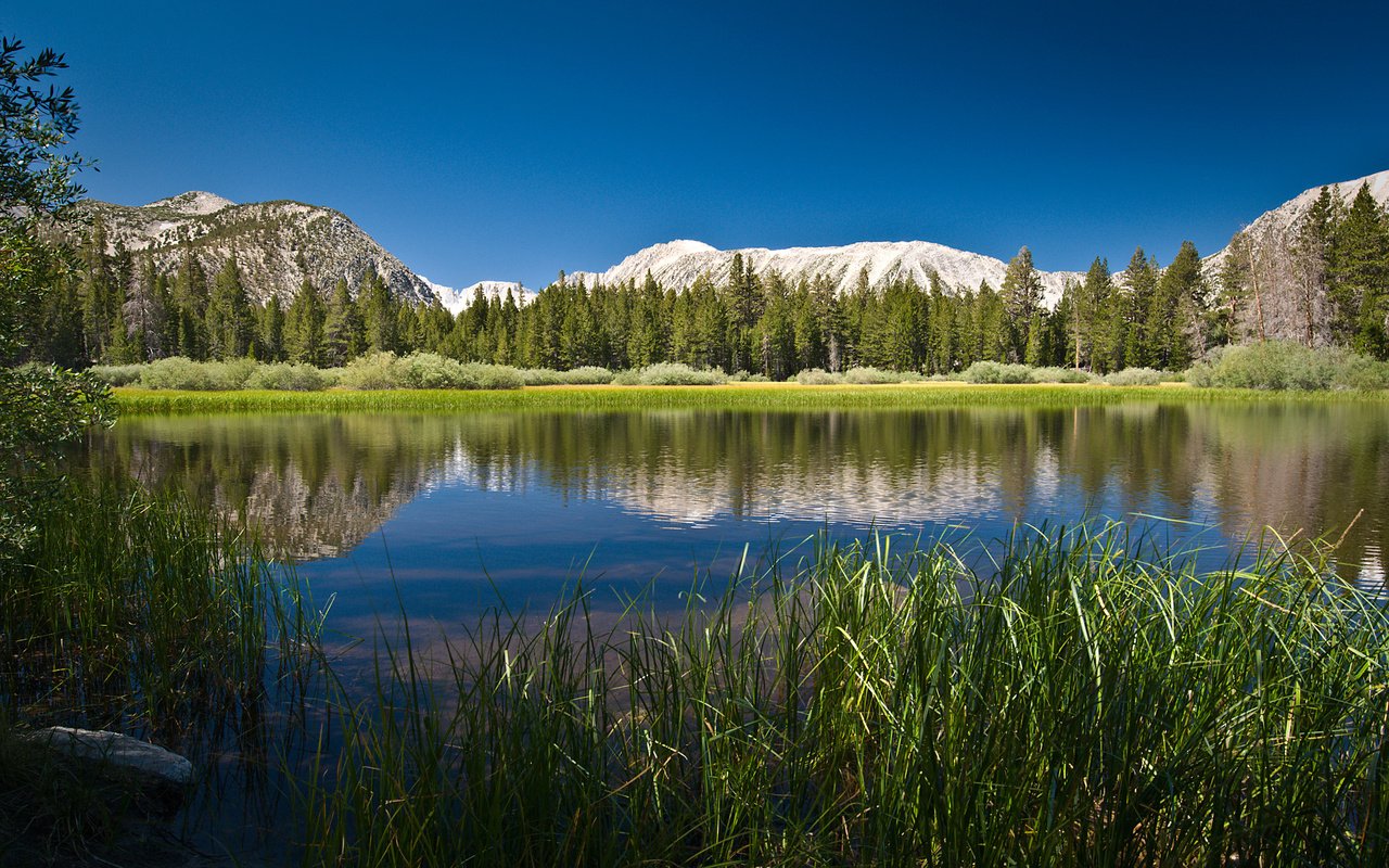 Обои небо, трава, деревья, озеро, горы, отражение, the sky, grass, trees, lake, mountains, reflection разрешение 2560x1600 Загрузить