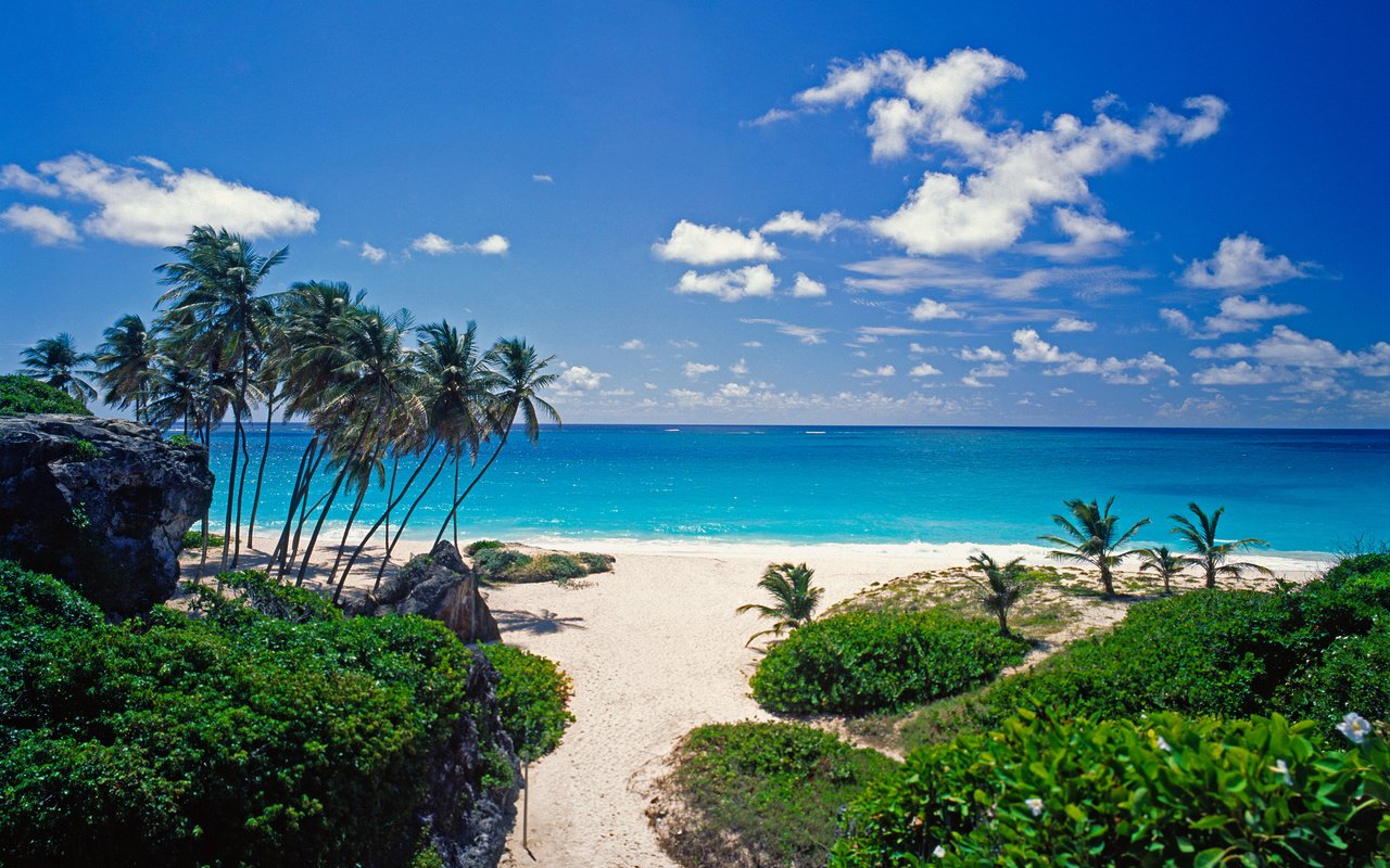 Обои пляж, пальмы, тропики, beach, palm trees, tropics разрешение 2508x1908 Загрузить