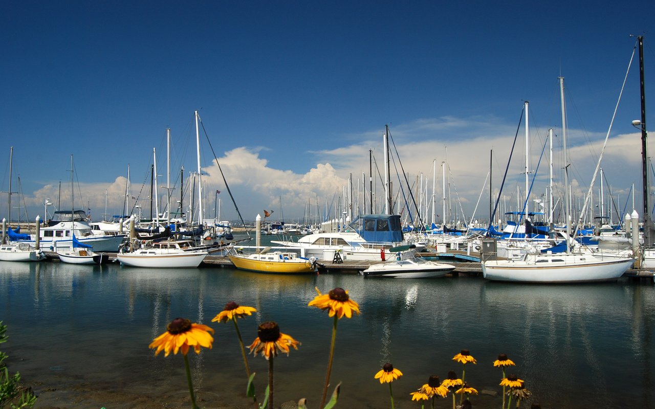 Обои цветы, море, яхты, flowers, sea, yachts разрешение 3872x2592 Загрузить