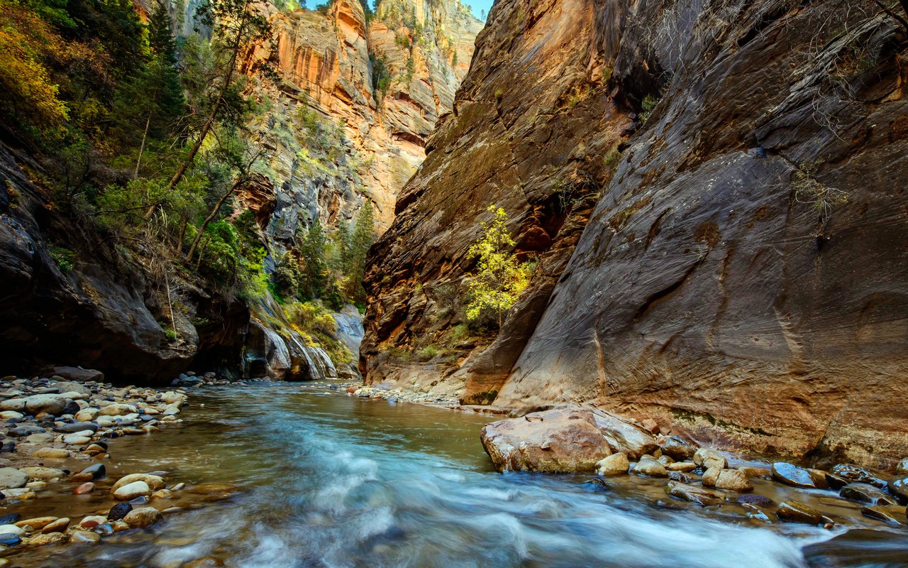 Обои река, скалы, ущелье, zion national park, river, rocks, gorge разрешение 6393x4751 Загрузить