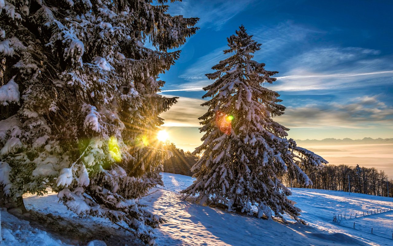 Обои солнце, снег, лес, зима, швейцария, grenchenberg, the sun, snow, forest, winter, switzerland разрешение 2048x1367 Загрузить