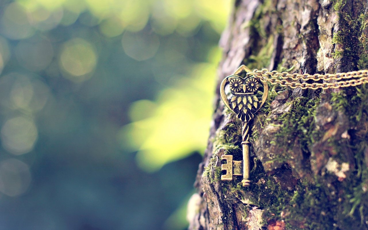 Обои сова, дерево, ключ, металлический, цепочка, подвеска, owl, tree, key, metal, chain, suspension разрешение 1920x1200 Загрузить