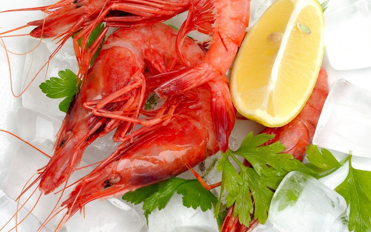 Обои лёд, лимон, морепродукты, креветки, кинза, ice, lemon, seafood, shrimp, cilantro разрешение 1920x1612 Загрузить