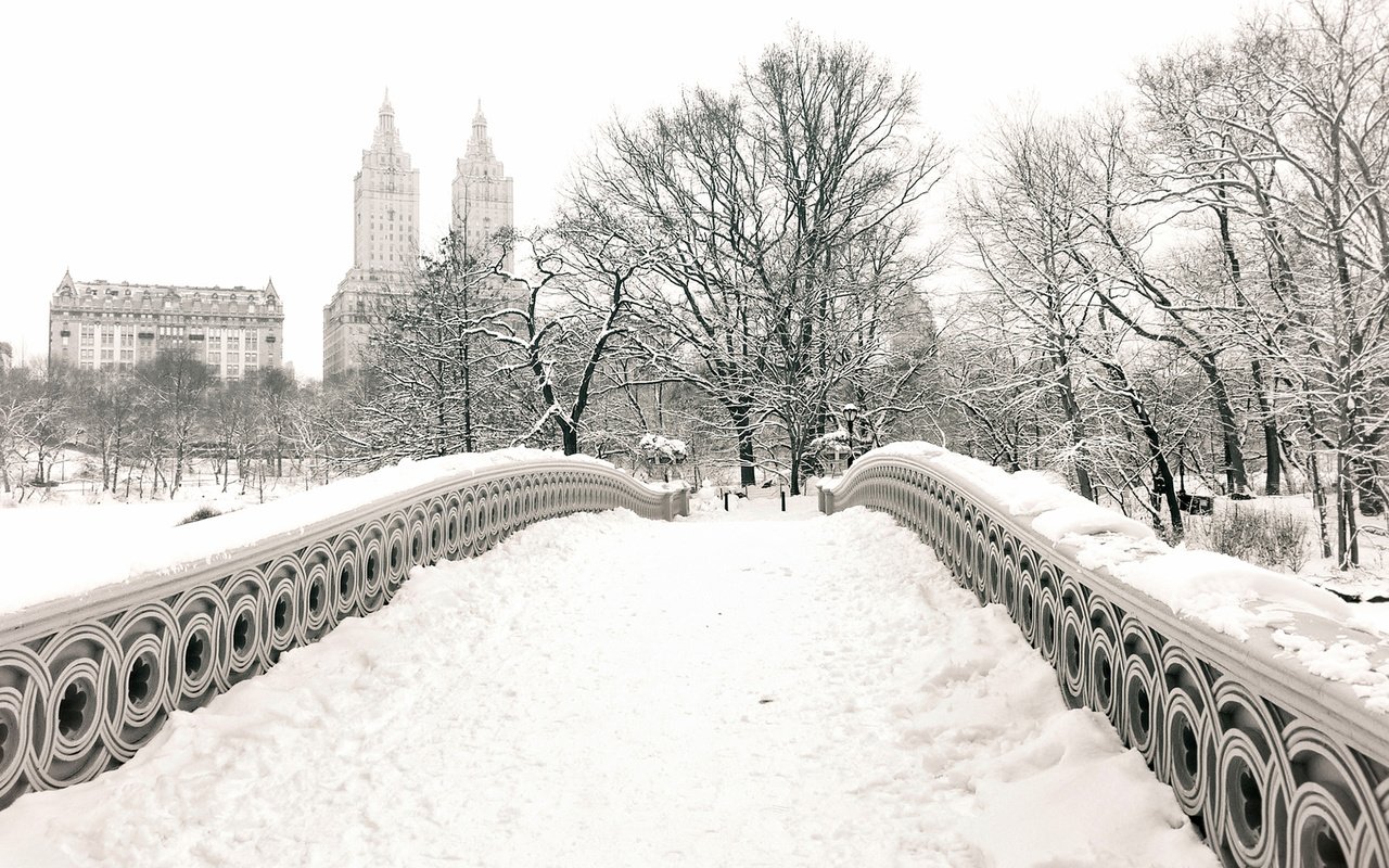 Обои снег, зима, мост, чёрно-белое, нью йорк, центральный парк, snow, winter, bridge, black and white, new york, central park разрешение 1920x1200 Загрузить