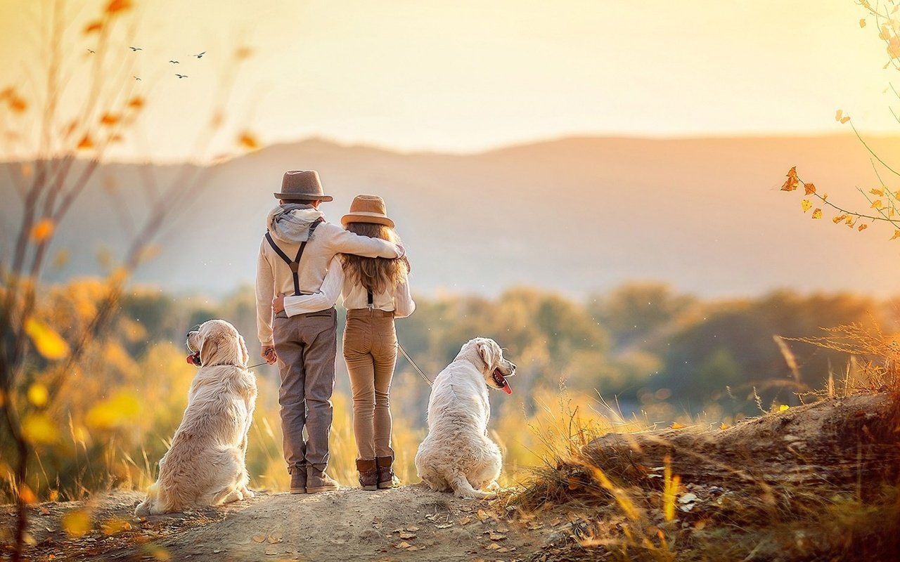 Обои осень, дети, девочка, мальчик, собаки, autumn, children, girl, boy, dogs разрешение 2560x1600 Загрузить