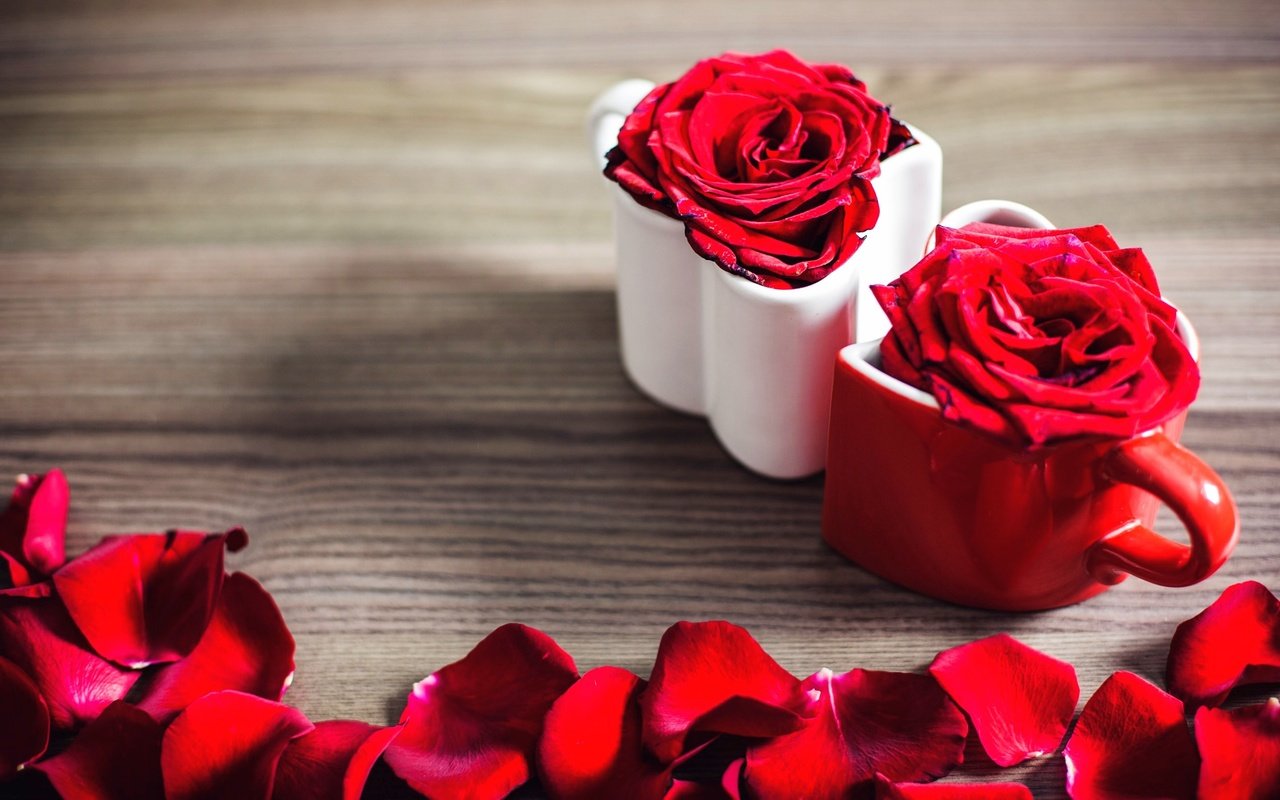 Обои цветы, розы, лепестки, flowers, roses, petals разрешение 2880x1800 Загрузить