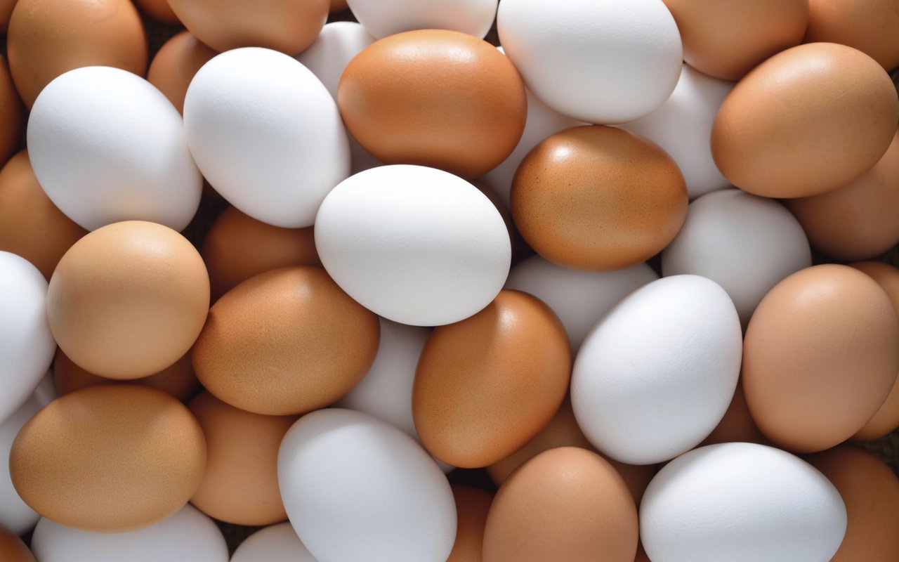 Обои яйца, расцветка, глазунья, куриное мясо, eggs, colors, chicken разрешение 2121x1416 Загрузить