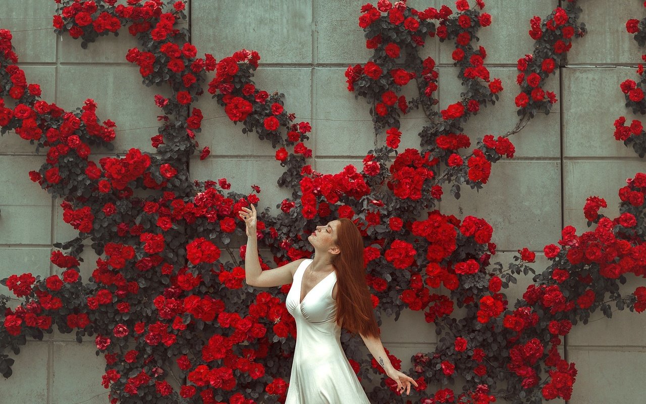 Обои цветы, девушка, платье, поза, стена, лицо, flowers, girl, dress, pose, wall, face разрешение 2048x1365 Загрузить
