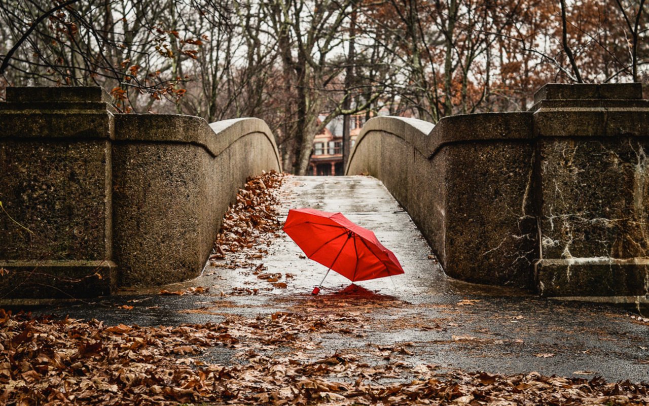 Обои мост, город, осень, красный, зонтик, bridge, the city, autumn, red, umbrella разрешение 2048x1305 Загрузить