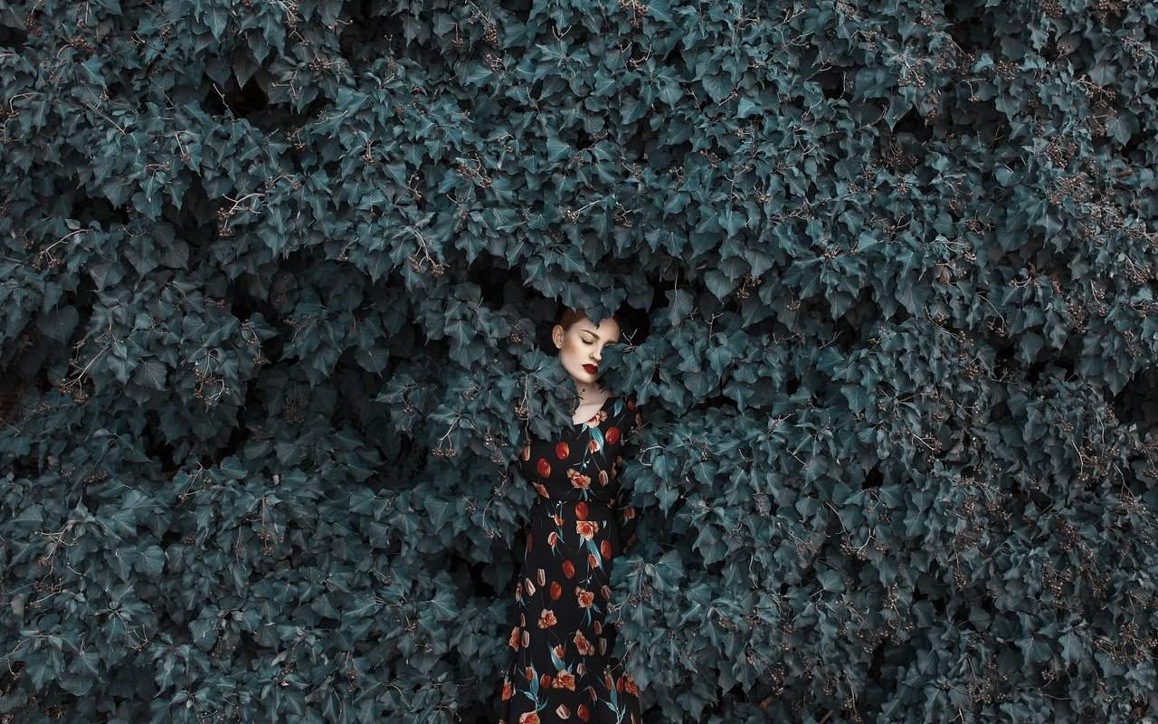 Обои девушка, платье, листва, лицо, girl, dress, foliage, face разрешение 2048x1365 Загрузить