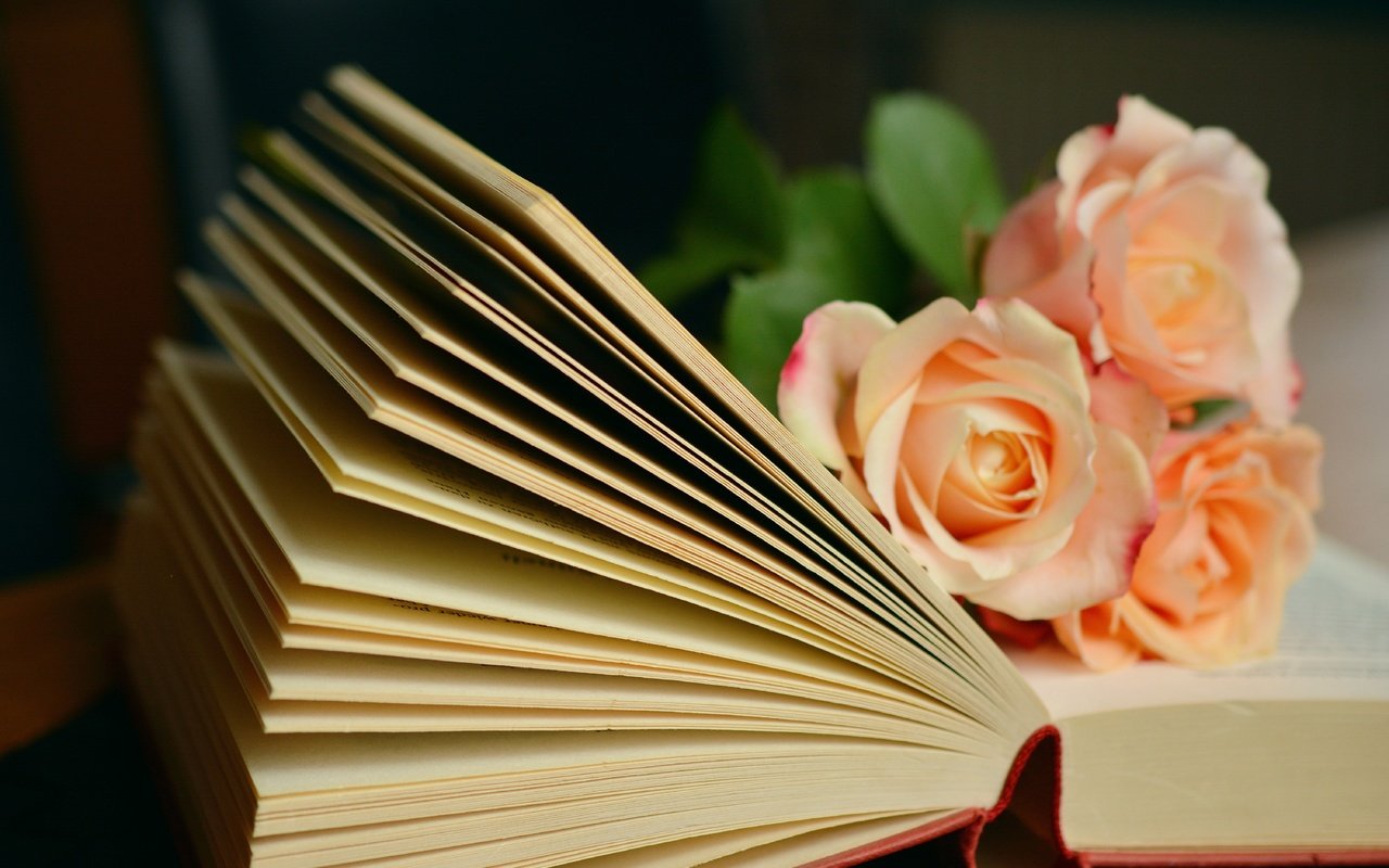 Обои цветы, розы, букет, книга, страницы, flowers, roses, bouquet, book, page разрешение 6000x3781 Загрузить