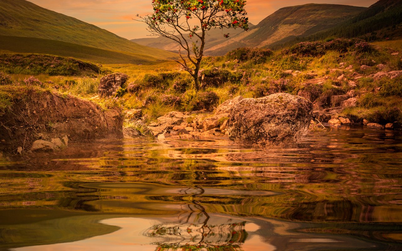 Обои вода, озеро, горы, дерево, закат, отражение, рябина, sophiaspurgin, water, lake, mountains, tree, sunset, reflection, rowan разрешение 4470x4470 Загрузить